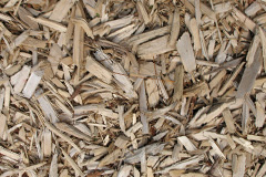 biomass boilers Earsairidh